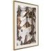 Poster Beautiful Texture - birch tree bark texture in light color 130798 additionalThumb 3