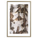 Poster Beautiful Texture - birch tree bark texture in light color 130798 additionalThumb 16