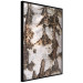 Poster Beautiful Texture - birch tree bark texture in light color 130798 additionalThumb 11