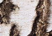 Poster Beautiful Texture - birch tree bark texture in light color 130798 additionalThumb 9