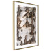 Poster Beautiful Texture - birch tree bark texture in light color 130798 additionalThumb 7