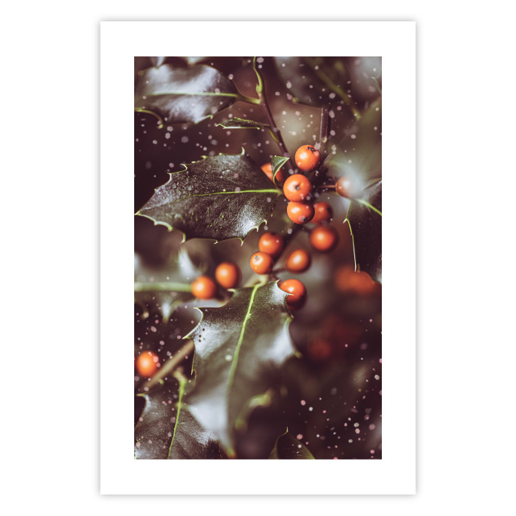 Poster Magic Shrub - plant with green leaves in a wintry holiday atmosphere 132198 additionalImage 19