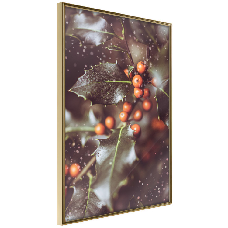 Poster Magic Shrub - plant with green leaves in a wintry holiday atmosphere 132198 additionalImage 12
