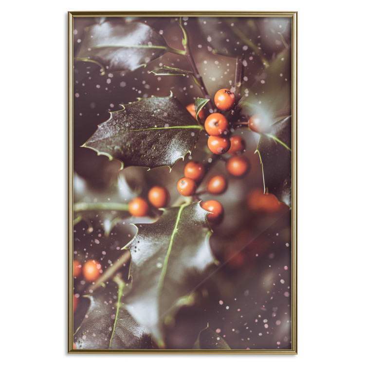 Poster Magic Shrub - plant with green leaves in a wintry holiday atmosphere 132198 additionalImage 17