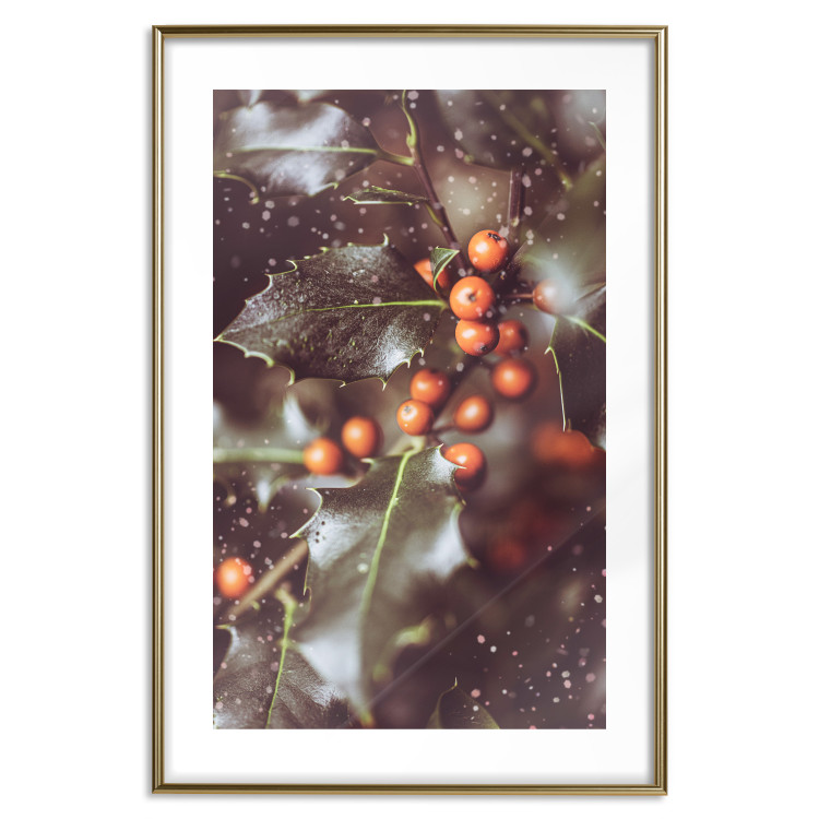 Poster Magic Shrub - plant with green leaves in a wintry holiday atmosphere 132198 additionalImage 14