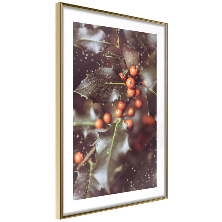 Poster Magic Shrub - plant with green leaves in a wintry holiday atmosphere 132198 additionalImage 7