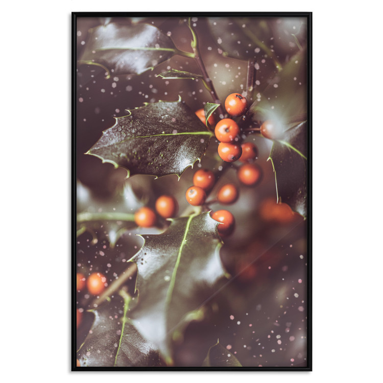 Poster Magic Shrub - plant with green leaves in a wintry holiday atmosphere 132198 additionalImage 16