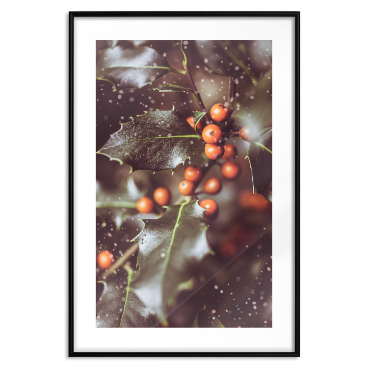 Poster Magic Shrub - plant with green leaves in a wintry holiday atmosphere 132198 additionalImage 15