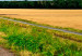 Wall Poster Landscape after the rain [Poster] Horizontal 134198 additionalThumb 3