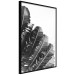 Poster Banana Fan - gray leaves with distinct texture on a white background 135598 additionalThumb 27