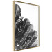 Poster Banana Fan - gray leaves with distinct texture on a white background 135598 additionalThumb 26