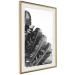 Poster Banana Fan - gray leaves with distinct texture on a white background 135598 additionalThumb 23