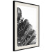 Poster Banana Fan - gray leaves with distinct texture on a white background 135598 additionalThumb 22
