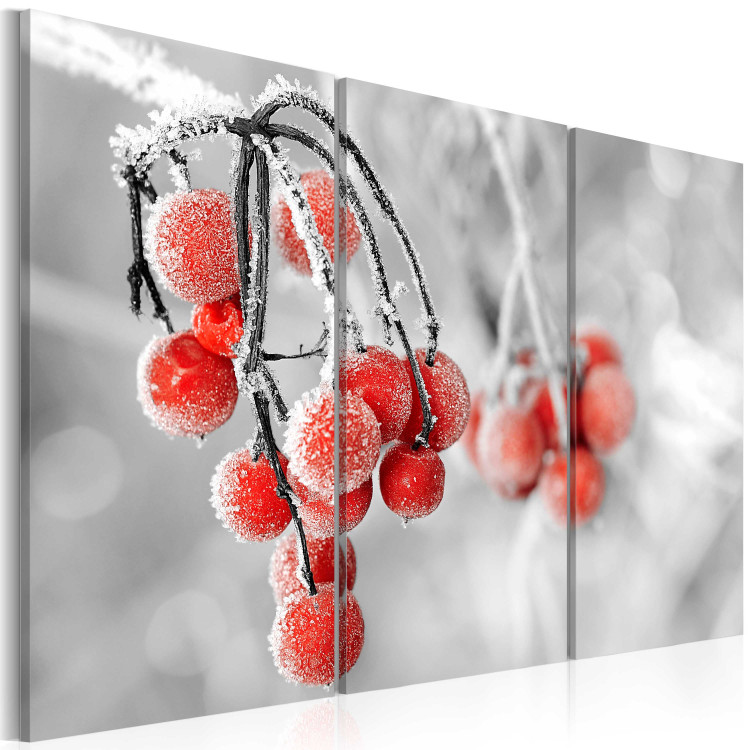Canvas Print Winter is coming 58798 additionalImage 2