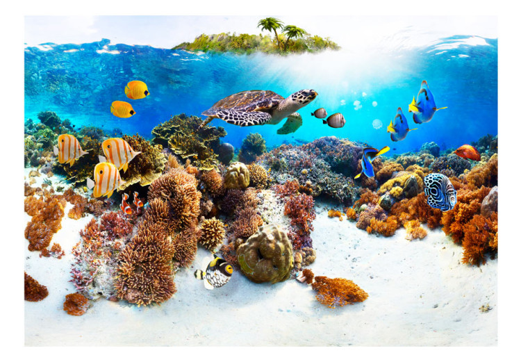 Photo Wallpaper Coral Reef - World of Colourful Fish and Turtles in an Underwater World 59998 additionalImage 1