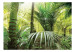 Photo Wallpaper Green alley 60098 additionalThumb 1