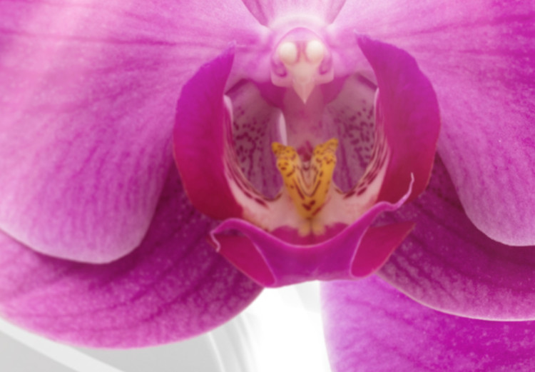 Canvas Abstract Garden: Pink Orchids 98098 additionalImage 5
