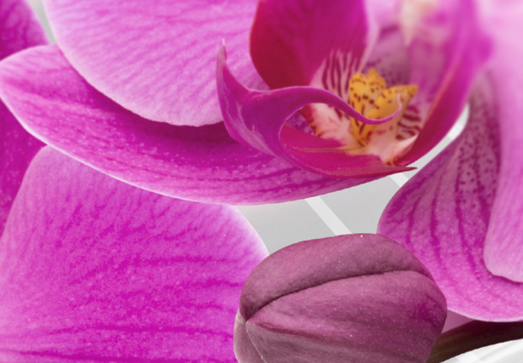 Canvas Abstract Garden: Pink Orchids 98098 additionalImage 4