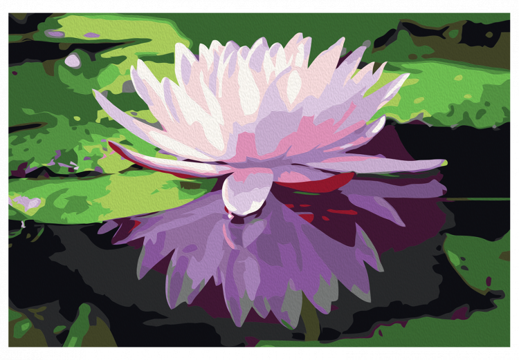 Paint by number Water Lily 107509 additionalImage 7