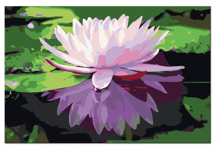Paint by number Water Lily 107509 additionalImage 6