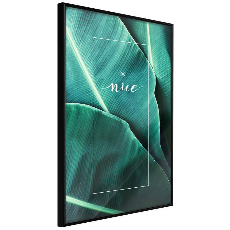 Poster Be nice - composition with tropical green leaves and English texts 115009 additionalImage 10