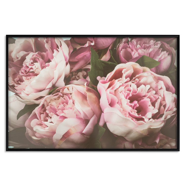 Wall Poster Pink Peonies - floral composition with flowers in pastel colors 116409 additionalImage 18