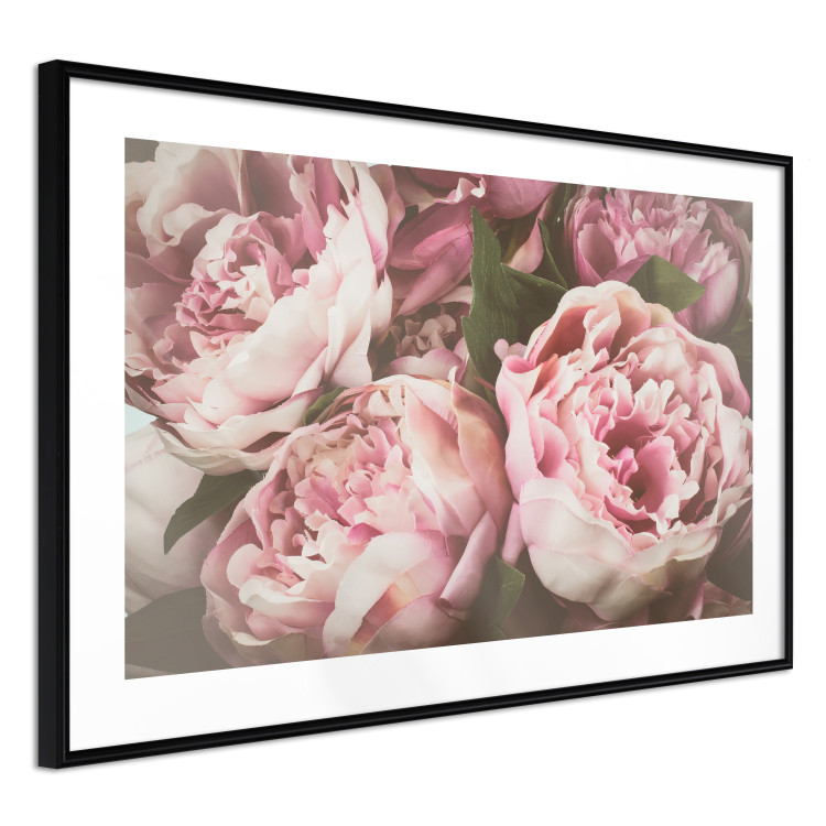 Wall Poster Pink Peonies - floral composition with flowers in pastel colors 116409 additionalImage 11