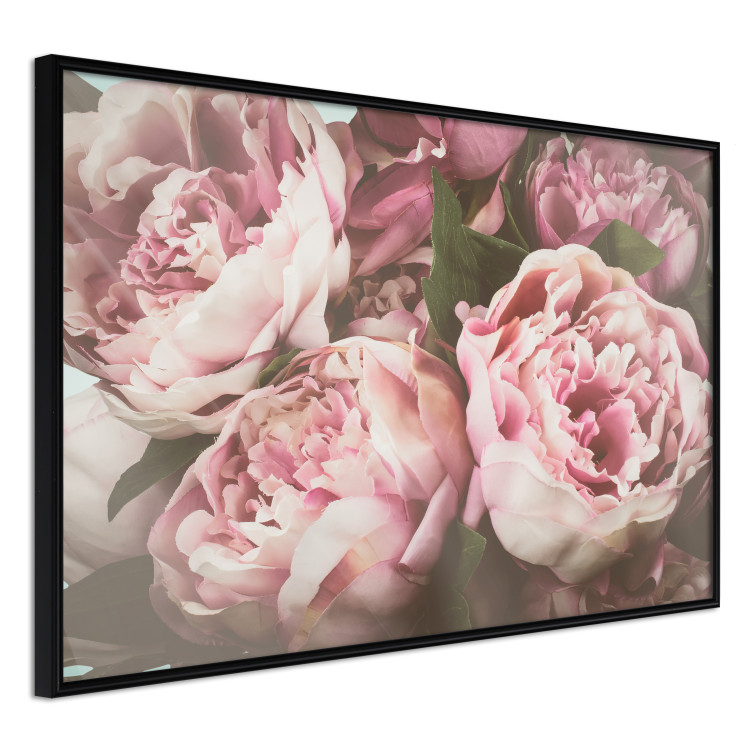 Wall Poster Pink Peonies - floral composition with flowers in pastel colors 116409 additionalImage 10