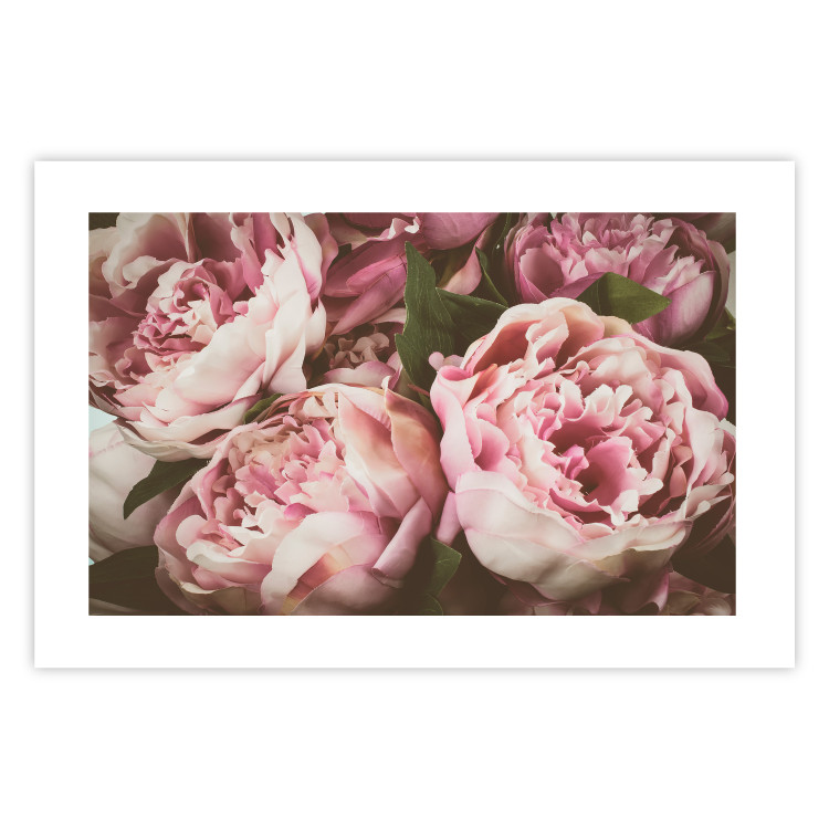 Wall Poster Pink Peonies - floral composition with flowers in pastel colors 116409 additionalImage 19