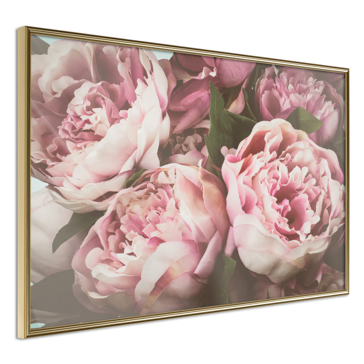 Wall Poster Pink Peonies - floral composition with flowers in pastel colors 116409 additionalImage 12
