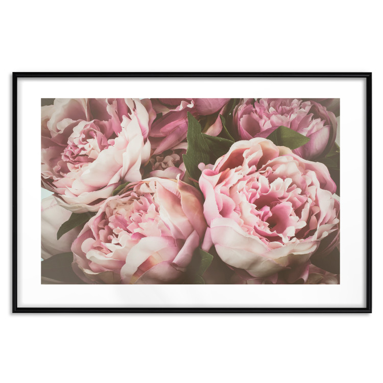 Wall Poster Pink Peonies - floral composition with flowers in pastel colors 116409 additionalImage 15