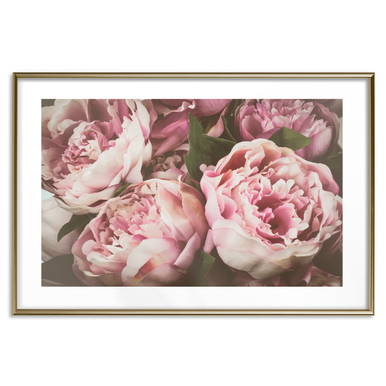 Wall Poster Pink Peonies - floral composition with flowers in pastel colors 116409 additionalImage 14