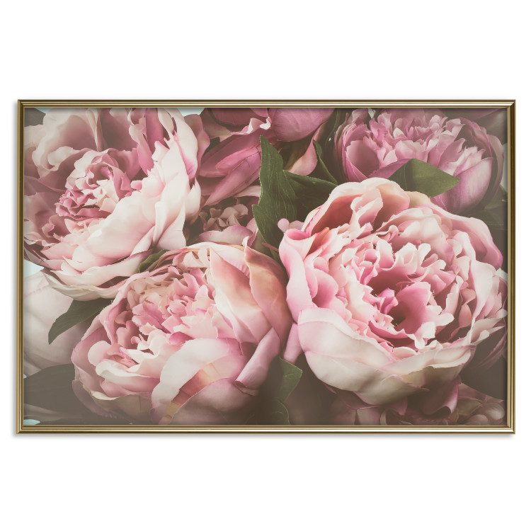 Wall Poster Pink Peonies - floral composition with flowers in pastel colors 116409 additionalImage 16