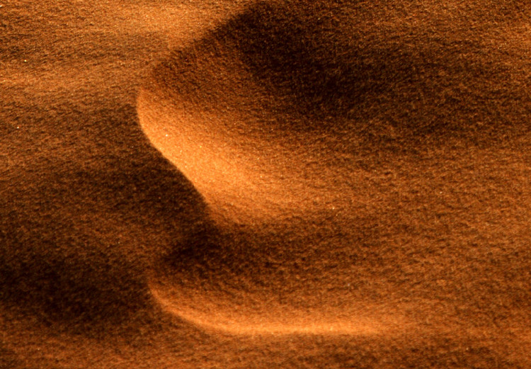 Wall Poster Footprints in the Sand - a desert dune landscape in shades of orange 116509 additionalImage 9