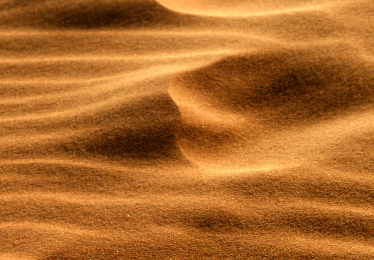 Wall Poster Footprints in the Sand - a desert dune landscape in shades of orange 116509 additionalImage 8