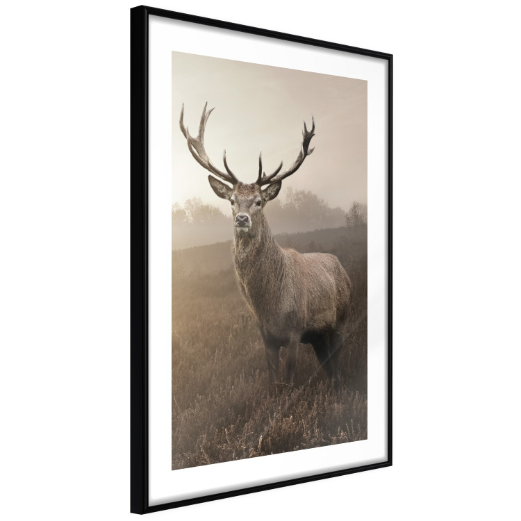 Poster Sepia Deer - autumn landscape with an animal amid field grass 119209 additionalImage 13