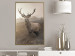 Poster Sepia Deer - autumn landscape with an animal amid field grass 119209 additionalThumb 5