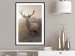 Poster Sepia Deer - autumn landscape with an animal amid field grass 119209 additionalThumb 6