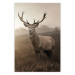 Poster Sepia Deer - autumn landscape with an animal amid field grass 119209