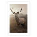Poster Sepia Deer - autumn landscape with an animal amid field grass 119209 additionalThumb 25