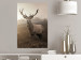 Poster Sepia Deer - autumn landscape with an animal amid field grass 119209 additionalThumb 17