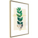 Poster Geometric Nature - abstract plant with leaves on a white background 122609 additionalThumb 6