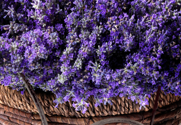 Poster Secret Lavender Bouquet - purple flowers on background of wooden planks 128409 additionalImage 9