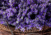 Poster Secret Lavender Bouquet - purple flowers on background of wooden planks 128409 additionalThumb 9