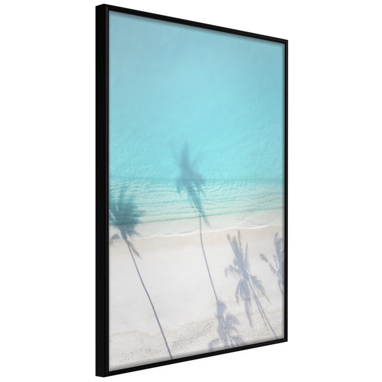 Wall Poster Turquoise Morning - seaside landscape with vivid shadow of palms 135309 additionalImage 4