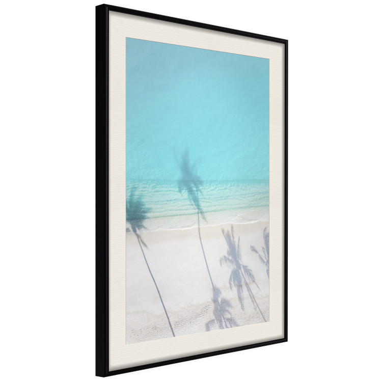 Wall Poster Turquoise Morning - seaside landscape with vivid shadow of palms 135309 additionalImage 8
