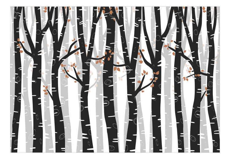Wall Mural Birch forest - black and white trees with brown leaves on branches 145109 additionalImage 1