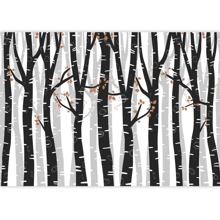 Wall Mural Birch forest - black and white trees with brown leaves on branches 145109 additionalImage 3