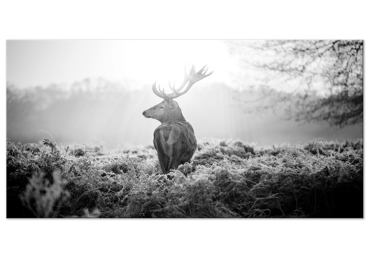 Large canvas print Field Guard II [Large Format] 149109