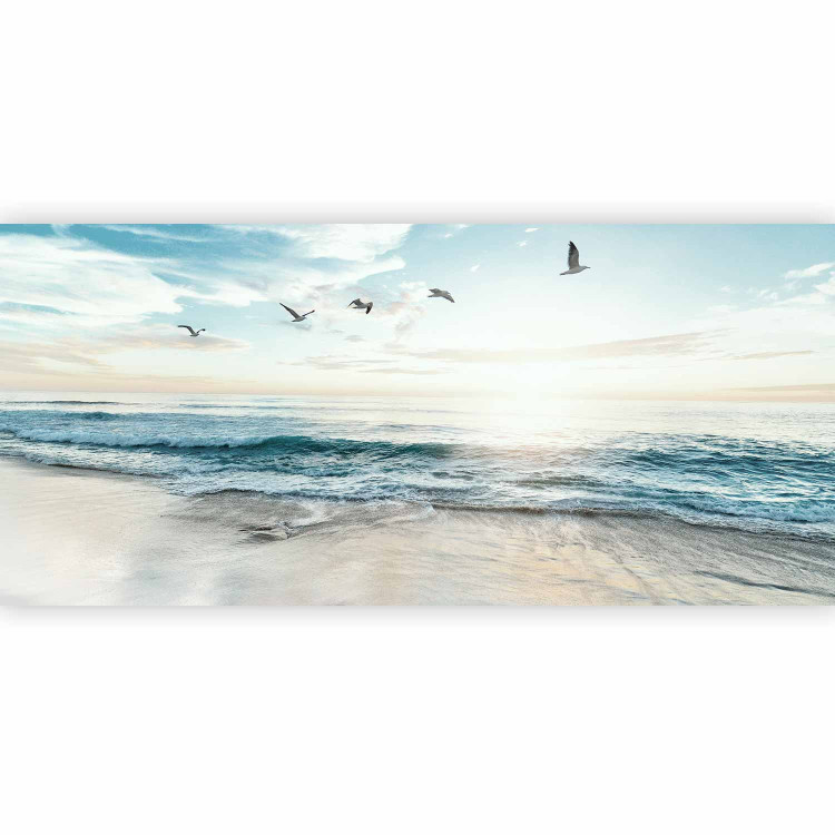 Wall Mural Lonely Beach - Seascape With Rough Waves and Birds 160009 additionalImage 5